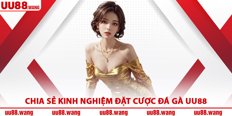 Chia Sẻ Kinh Nghiệm Đặt Cược Đá Gà UU88