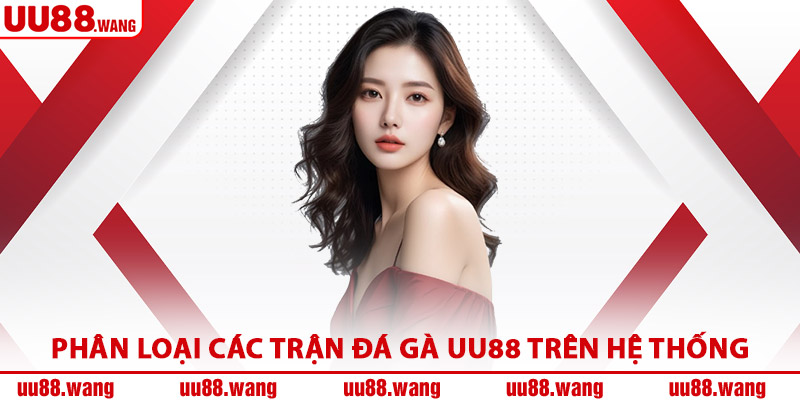 Phân Loại Các Trận Đá Gà UU88 Trên Hệ Thống