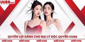 Quyền Lợi Dành Cho Đại Lý Độc Quyền UU88